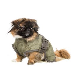 Siccaro WetDog SupremePro Elmwood small