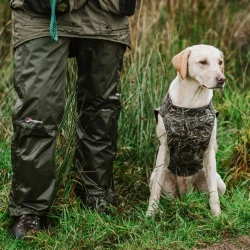 Sporting Saint hundevest neopren