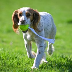 Tennisbold med streamer 1 stk