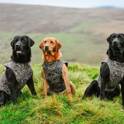 Sporting Saint hundevest neopren