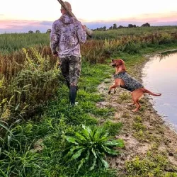 Sporting Saint hundevest neopren