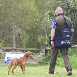 Fortis trningsvest oliven &amp; navybl