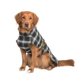 Siccaro WetDog Splash large