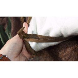 Siccaro WetDog Spirit camo small